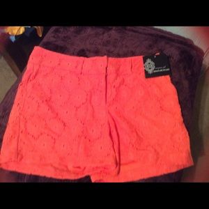 NWT Signature Studio size 8 shorts